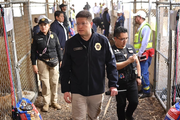Pablo Vázquez durante la supervisión de les animales rescatados