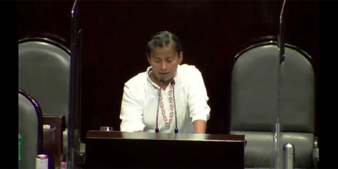 La diputada de Morena, Irma Juan Carlos.