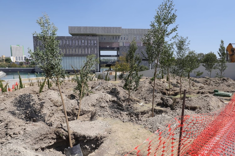 Reforestación en el Centro Integral de Servicios (CIS) Angelópolis.