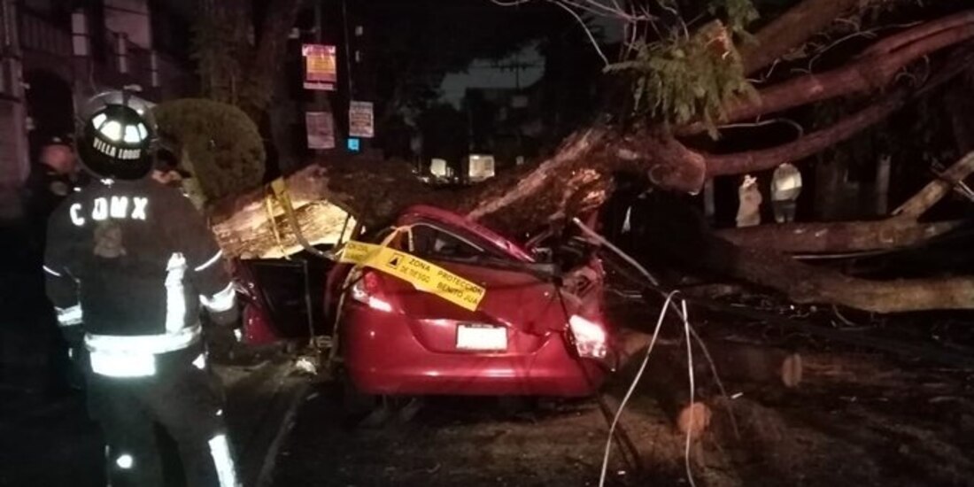 Una mujer murió luego de que un árbol de 20 metros de altura cayó sobre su vehículo en la alcaldía Benito Juárez.