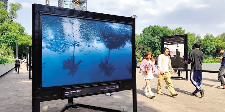 Exposición fotográfica instalada en la primera sección del bosque.