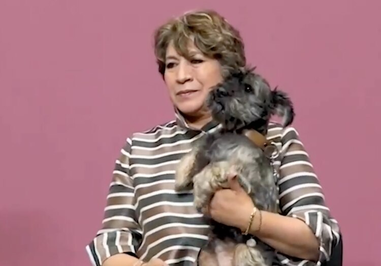 Gobernadora Delfina Gómez Álvarez creará la primera Policía de Protección y Cuidado Animal y una Fiscalía Especializada