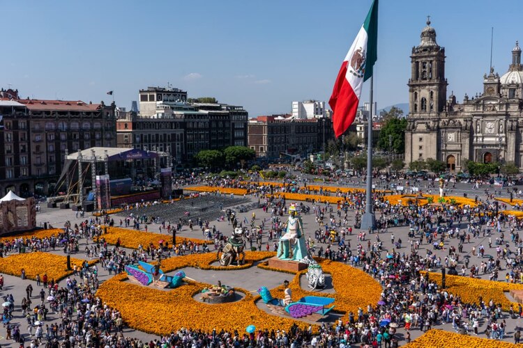 100 mil plantas de cempasúchil adornaron el Zócalo este 2025.