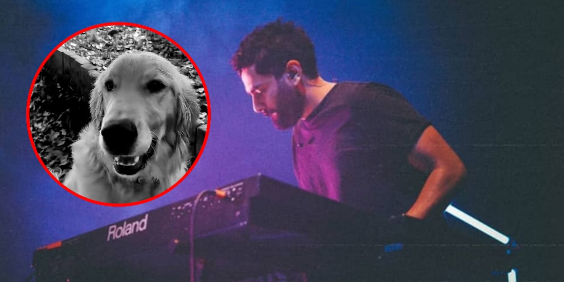 Nala, la perrita de Jonathan Meléndez