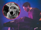 Nala, la perrita de Jonathan Meléndez