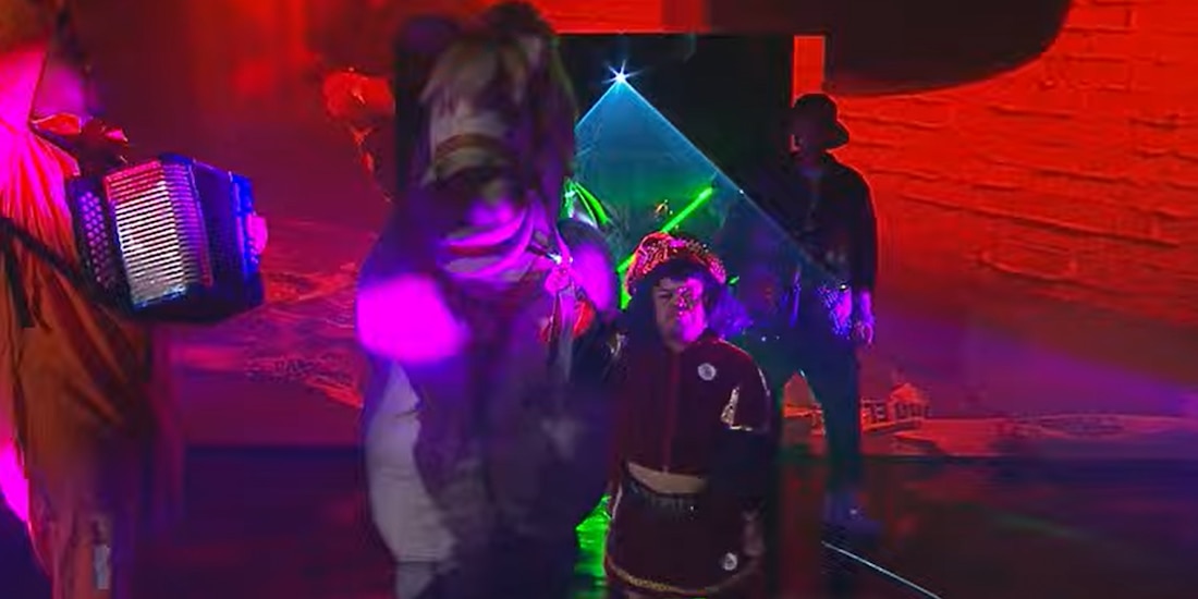 Así fue la entrada de Bull Terrier