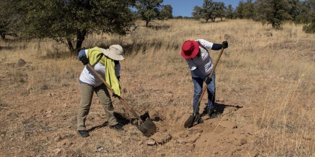 Centro Prodh presentó su iniciativa para crear el Centro Nacional de Identificación Humana ante la Crisis Forense.