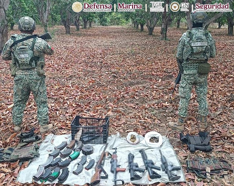 Elementos de seguridad federal decomisaron armas, droga y precursores químicos.