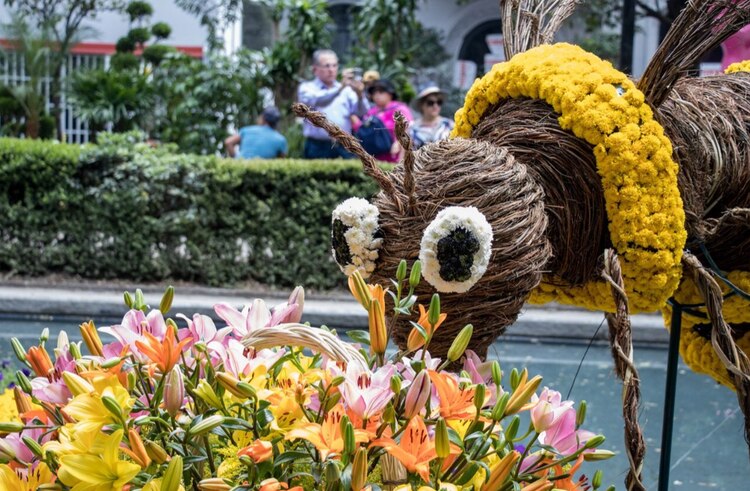 Festival de Flores y Jardines trae paisajes de ensueño