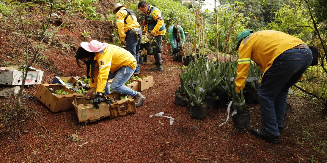 Lía Limón destacó que en la demarcación, el 24% es suelo de conservación