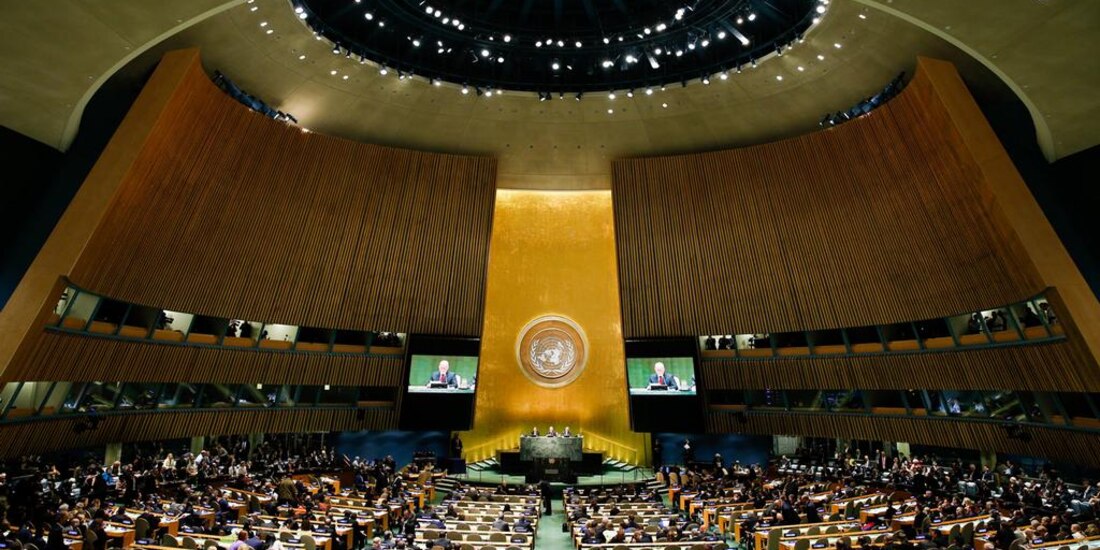 La Asamblea General de la Organización de Naciones Unidas.