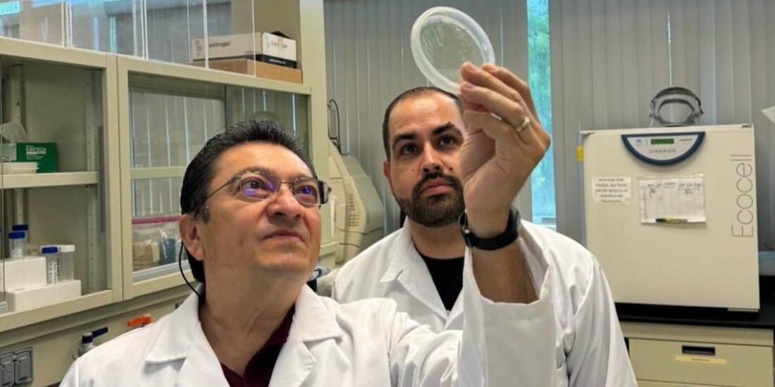 Investigadores del Instituto Politécnico Nacional.