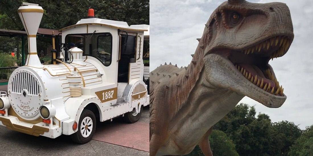 Actividades en el zoológico de Aragón