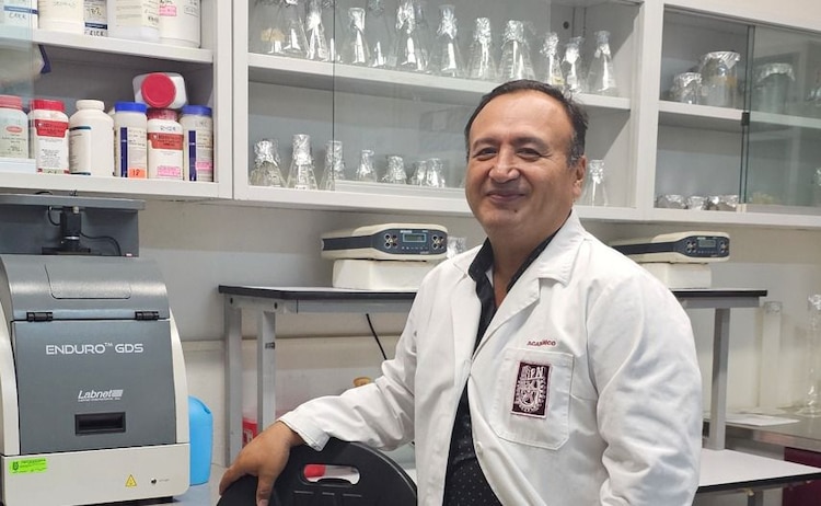 Científicos del IPN analizan los riesgos de liberar especies extintas como el Aenocyon dirus en ecosistemas actuales.