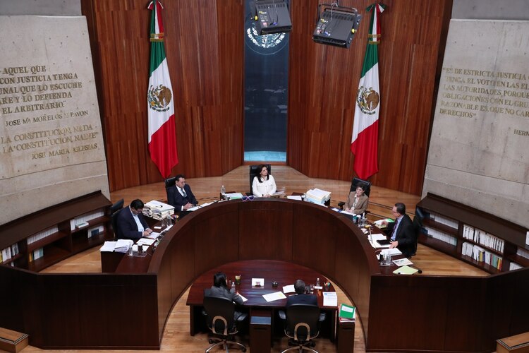 En un debate interno, la magistrada Janine Otálora criticó esta decisión, advirtiendo que podría significar un retroceso en la democracia al limitar la participación ciudadana en el escrutinio.