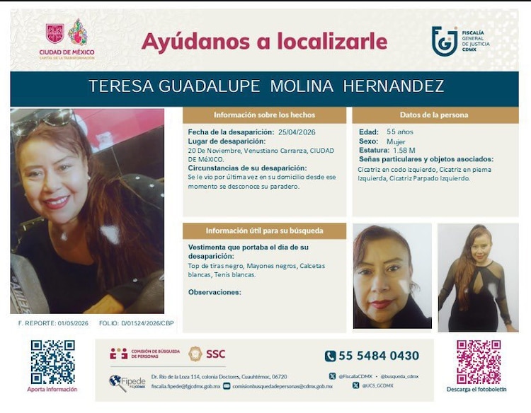 Ficha de búsqueda de Teresa Molina