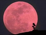 Todo lo que debes saber de la Luna Rosa