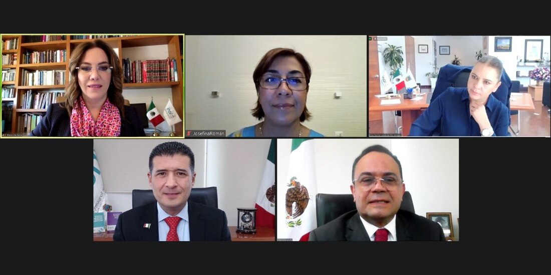 INAI resuelve en apego a sus facultades constitucionales, respetando la libertad de expresión