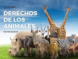 Te contamos por qué se conmemora el Día Internacional de los Derechos de los Animales el 10 de diciembre.