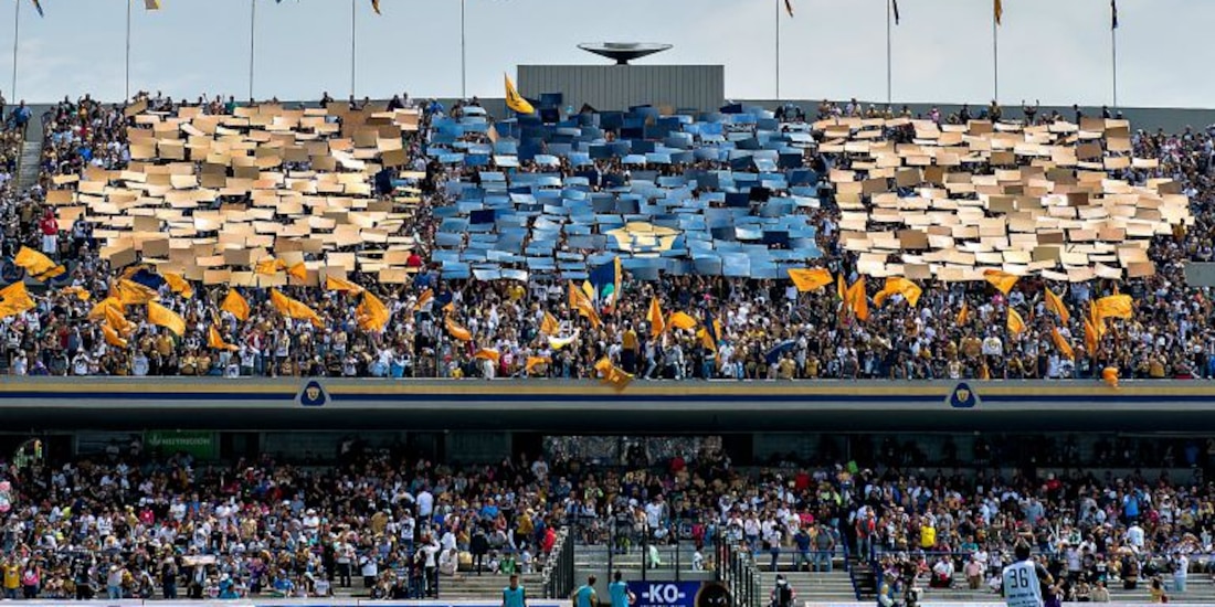 Aficionados de los Pumas, en un partido de la Liga MX
