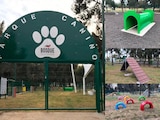 Consiente a tu perro en este nuevo parque para lomitos en Aragón-CDMX