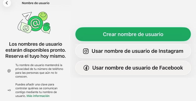 Nombre de usuario de WhatsApp