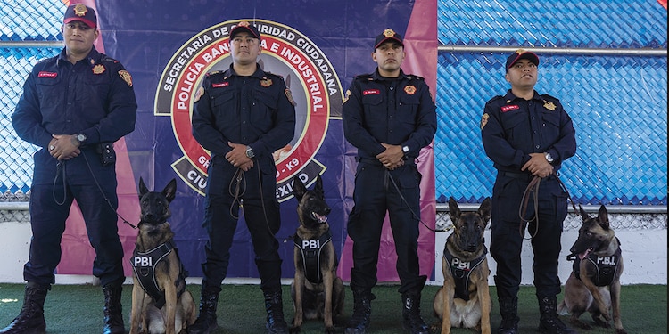 Los manejadores y sus binomios caninos.
