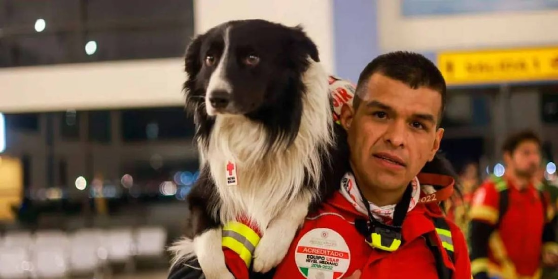 Participa con tus animales de compañía este 6 de mayo