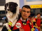 Participa con tus animales de compañía este 6 de mayo