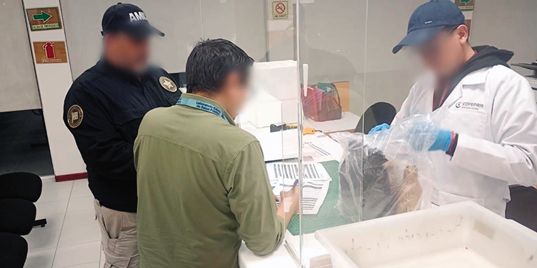 Autoridades de Salud de Sonora, ayer, al entregar el material para su investigación.