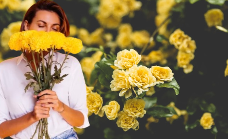 Las flores amarillas comenzaron a hacerse virales hace ya algunos años.