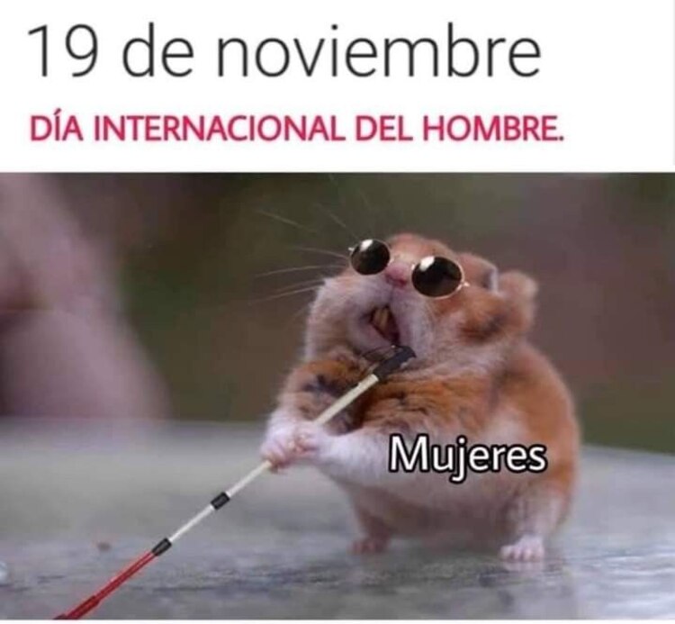 Imágenes divertidas del Día Internacional del Hombre