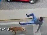 El perro atropelló al hombre que iba cruzando la calle