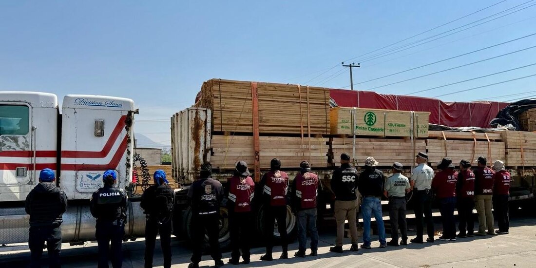 Aseguramiento de madera en la Ciudad de México.