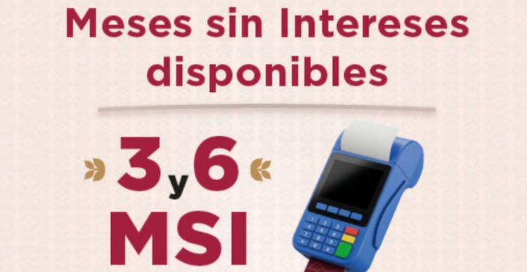 Meses sin intereses disponibles para el reemplacamiento del Edomex 2026
