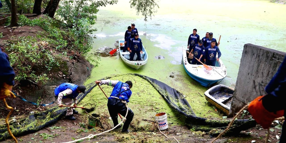 Recuperación del Parque Ecológico Huayamilpas.