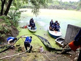 Recuperación del Parque Ecológico Huayamilpas.