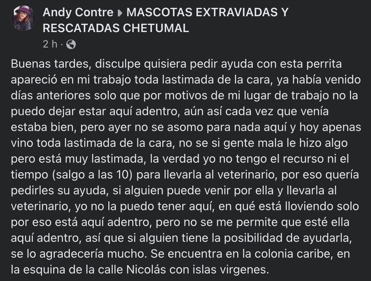 "Hoy apenas vino toda lastimada de la cara, no sé si gente mala le hizo algo", acusaron en redes sociales.