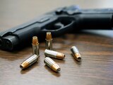 PRI propondrá reforma para que familias tengan armas