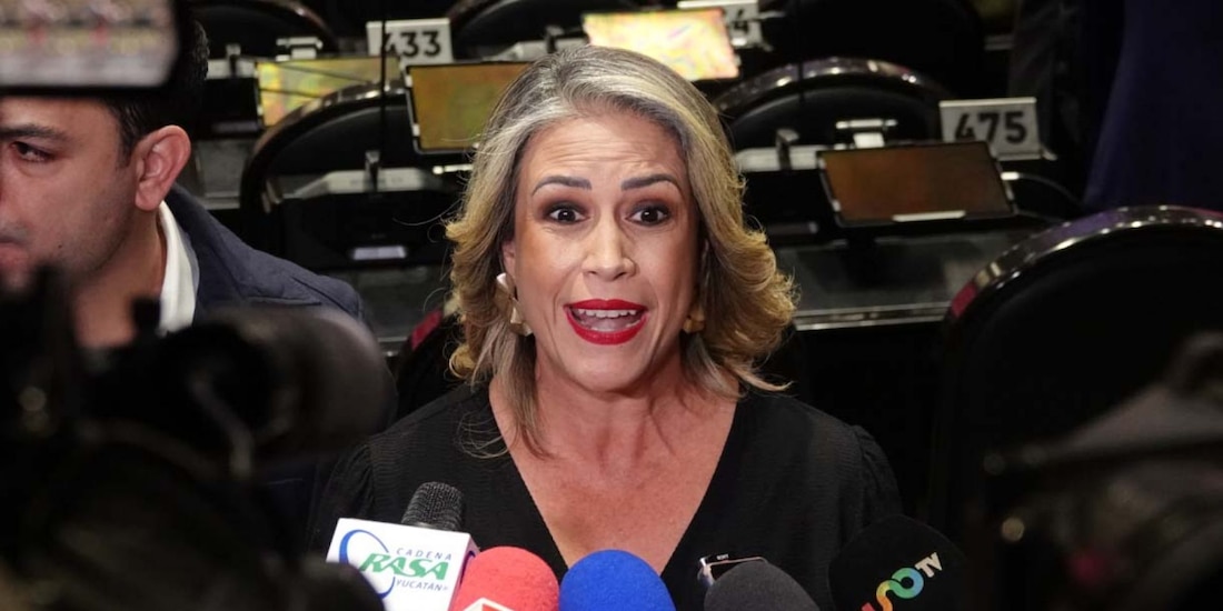 La diputada Paulina Rubio Fernández
