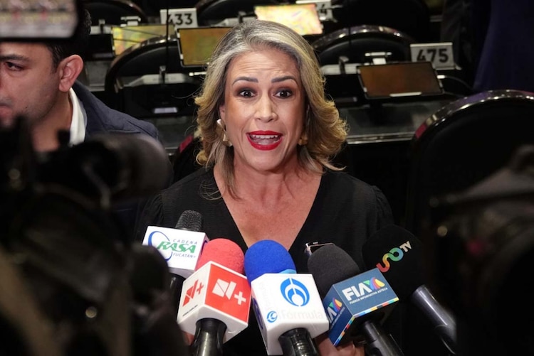 La diputada Paulina Rubio Fernández