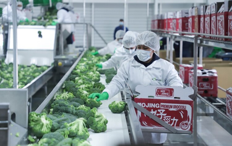 La Empacadora Fortune MT México, invirtió más de 112 millones de pesos en Dolores Hidalgo