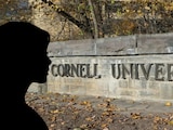 ¿Qué pasó en la universidad de Cornell?