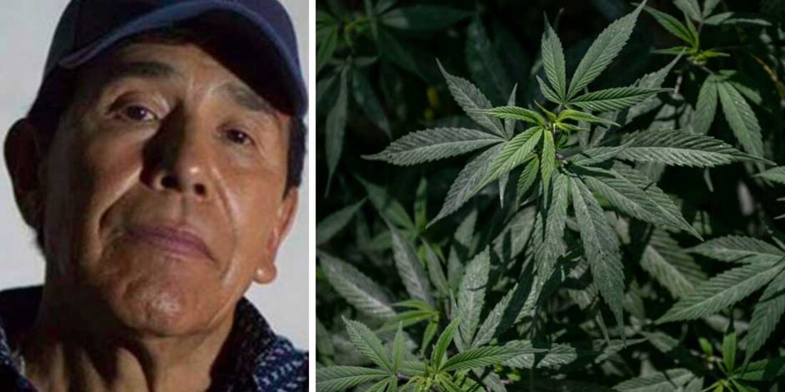 "El Búfalo” de Rafael Caro Quintero, rancho con un extenso plantío de marihuana en Chihuahua