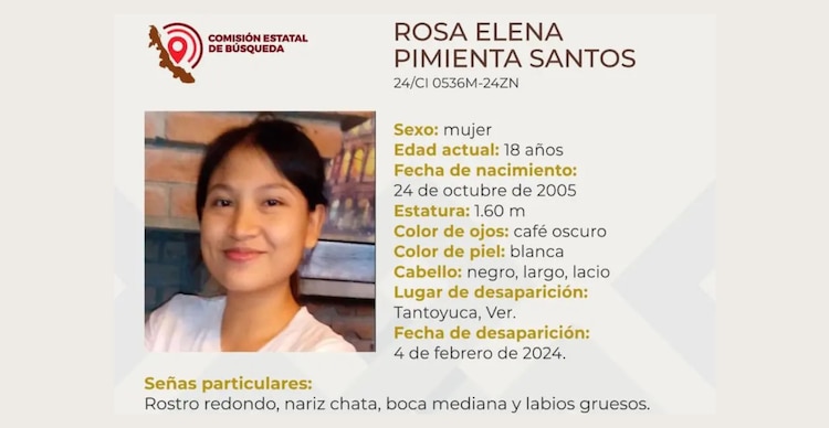 Ficha de búsqueda de Rosa Pimentel