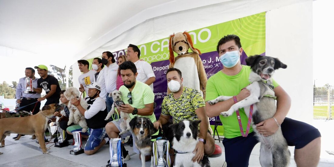 Maratón canino en Coyoacán