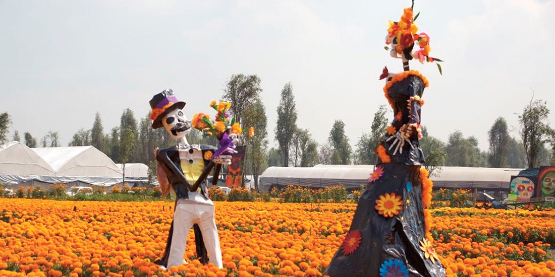 Figuras de cartón de un catrín y una catrina en un vivero productor de la flor característica de Día de Muertos, en 2025.