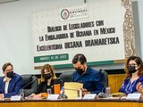 Oksana Dramaretska, Embajadora de Ucrania en México estuvo en San Lázaro.