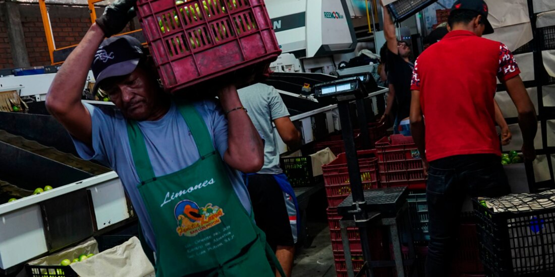 Indagan si líder limonero cayó en la trampa de algún grupo delictivo