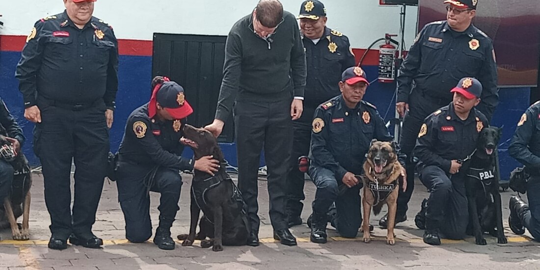 Durante la ceremonia por el 28 aniversario de la Unidad Canina de la Policía Bancaria e Industrial, el secretario de Seguridad Ciudadana, Pablo Vázquez, reconoció la labor de los binomios retirados Héctor y Molly.